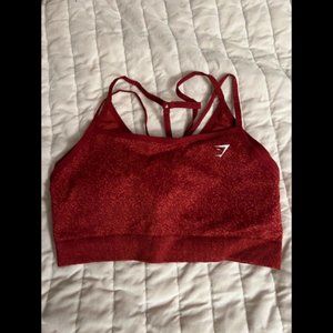 Gymshark Adapt Fleck Seamless Sports Bra